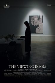 The Viewing Room